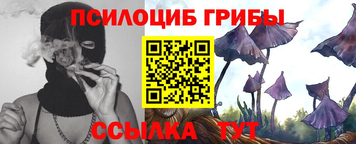 Галлюциногенные грибы ЛСД  сколько стоит  Керчь  Вход с VPN  Галлюциногенные грибы Psilocybe 